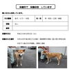 「飼い主さんを探しています！！御殿場保健所で保護」