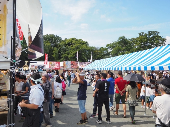 「2017炎の祭典【14時】」