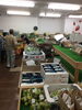 「滑石　元気野菜　直売所　のんのこ　(^o^)」