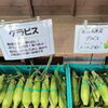 「開田高原とうもろこしは今シーズンの販売を終了しました！」