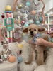 空くん「MerryXmas🎄」