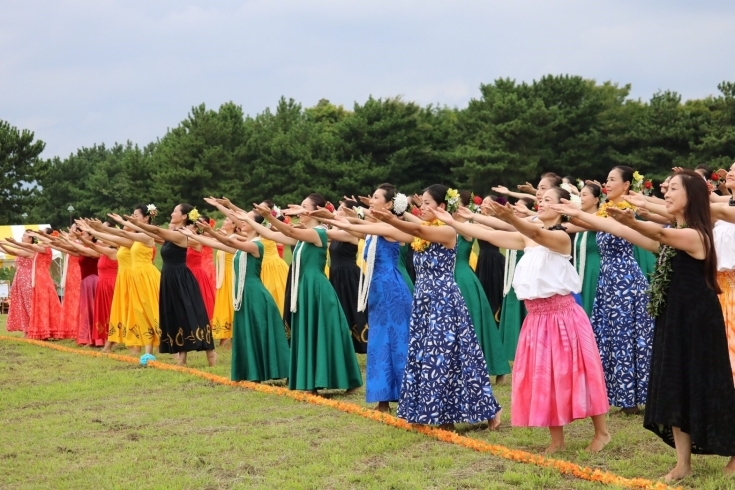 「葛西臨海公園「秋の公園フェスティバル2017」」