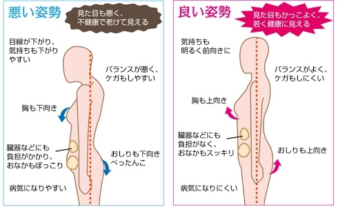 「美ボディを保つのは背骨のS字」