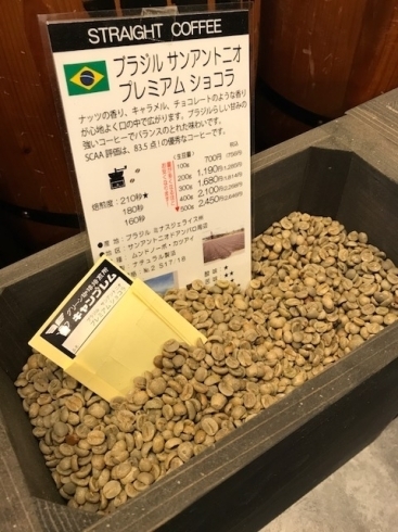 「市川駅南口よりすぐ！ 本日のおすすめの豆「ブラジルサンアントニオプレミアムショコラ」」