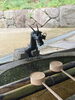 「しおんのお庭」