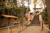 「二宮神社様で七五三 出張撮影・スタジオ撮影・両方も可能！」