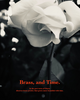 「◇8月店頭POP UPのご案内◇ 【COAS/Brass,and Time】」