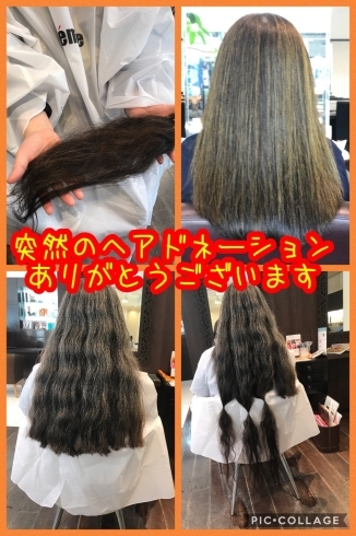 突然のヘアドネーション ありがとうございます Femme