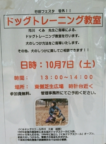 「10/7(土)13時より、行田公園で無料しつけ教室開催致します♪」