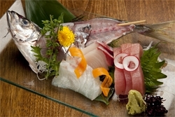 その日水揚げされた鮮魚が、日本各地の港から直送される。産直鮮魚のお造り