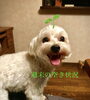 「日曜日お一人様のみ空きがあります！」