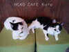 「ゆず&かぼすBrother(^_^)♫」