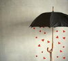 「ボランティア清掃！本日は雨のため中止します！」