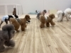 みんな同じ方向へ　笑「ましゅまろ幼稚園🐾」