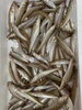 「鮮魚入荷してます」