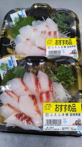 笛吹き鯛　宮崎産　480円（天然鯛のお味似）「本日のおすすめ品【桂の鮮魚店　桂魚伊】」