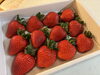 大きくて甘くて美味しいいちご「🍓とりかいさん家のいちご🍓」