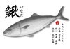 「魚拓！！」