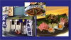 「和くわく　11月のオリジナル特典」
