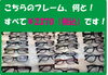 「とってもお買い得な￥2370フレーム」