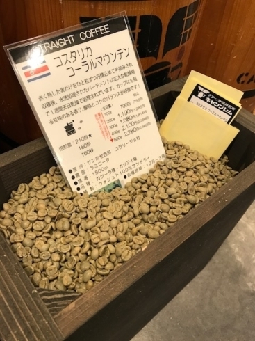 「市川駅すぐ！ コーヒーはいかが？ 本日のおすすめの豆「コスタリカコーラルマウンテン」」