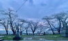 今朝の小樽「Good morning Otaru! ◎ 小樽の古民家ゲストハウスより」