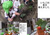 「１１月２９日（水）１３：００～１５：００は「午後の園庭開放」です。前回アップした日程（24日）は間違いでした。」