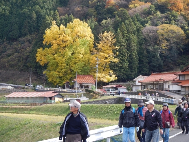 「三江線で紅葉ウォーキング」