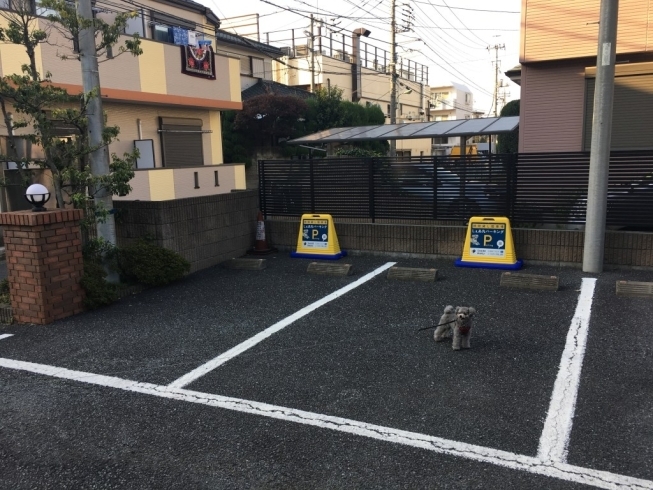 「朝霞駅近くにまたまた【しぇあ丸パーキング】NEW駐車場がオープンしました！」
