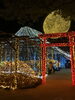 「11月のキャンペーンあと2日‼︎」