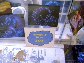 ちょっと気になる「海ホタルカード」。<br>神秘的に光る海ホタルが5枚1組の絵葉書になっています。