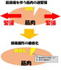 「ぎっくり腰から機能改善へ」