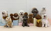 リリー♡じろう♡なつめ♡ぷっか♡ねね♡リーチ「ましゅまろ幼稚園🐾　パート１」