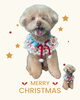 「Dog salon mofu mofu　余市町」