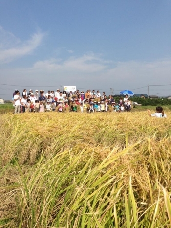 まずは稲穂を前に、記念撮影