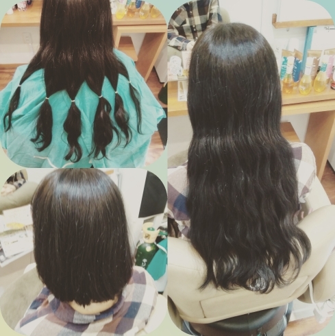 「ヘアードネェーション」