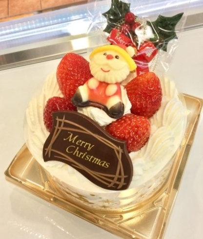 「【Merry Christmas✨】」