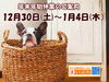 「まいぷれ編集部より年末年始休業のご案内」