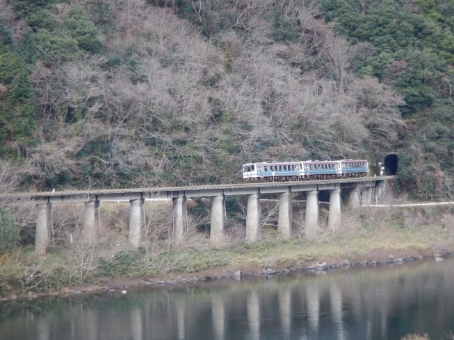 「来年もよろしくお願いします」