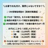 「英検3級〜準2級｜短期集中からじっくりまで選べる対策コースのご案内」