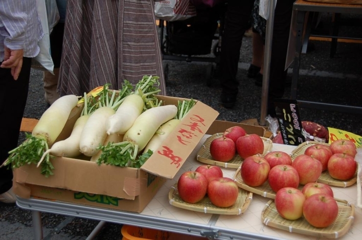 福島のみずみずしい大根とりんご<br>新鮮な農産物を市川のご家庭に！