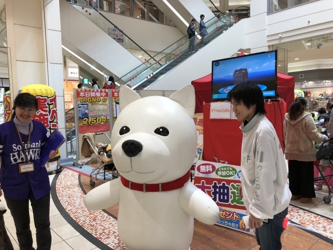 「イオンモール新居浜で、ワイモバイルとソフトバンクの合同イベント実施中！」