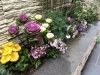 「今年はじめての花壇管理してきました！」