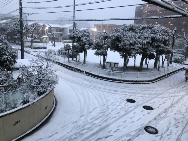 「流山市内大雪警報発令中！！」