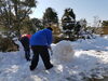 「なめがた日和久々更新子供達と雪遊び」