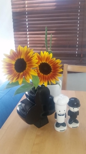 ひまわりは船橋市の花です 大神宮下駅近 記念日のプレゼントにもおすすめの船橋のお花屋さん デイジーヒルのニュース まいぷれ 船橋市 ひまわりは船橋市の花です 大神宮下駅近 記念日のプレゼントにもおすすめの船橋のお花屋さん デイジーヒルのニュース まいぷれ 船橋市