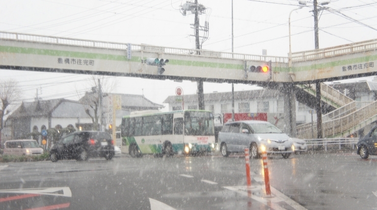 「雪舞ってます！運転注意！」