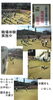 「中学生の職場体験」