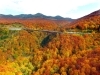 青森県南エリアのおススメ 紅葉スポット 魅て魅て 東北 楽しい 美味しいが盛りだくさん 八戸版 まいぷれ 八戸