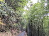 「西条市荒川本郷の沓掛工房（くつかけこうぼう）さんへ。。」